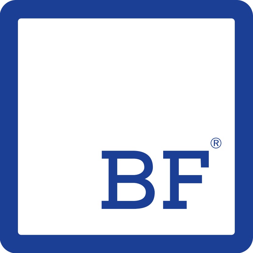 BF Srl