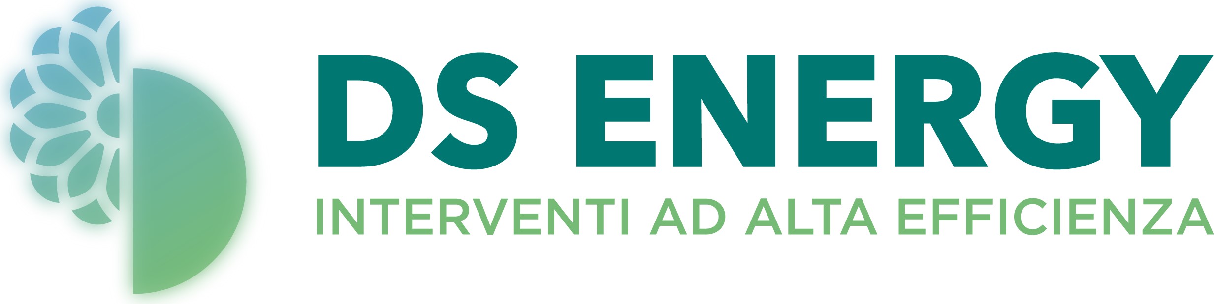 DS Energy Esco srl